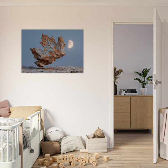 c6aa6411-bcfb-4b7e-9435-0efc257098ef