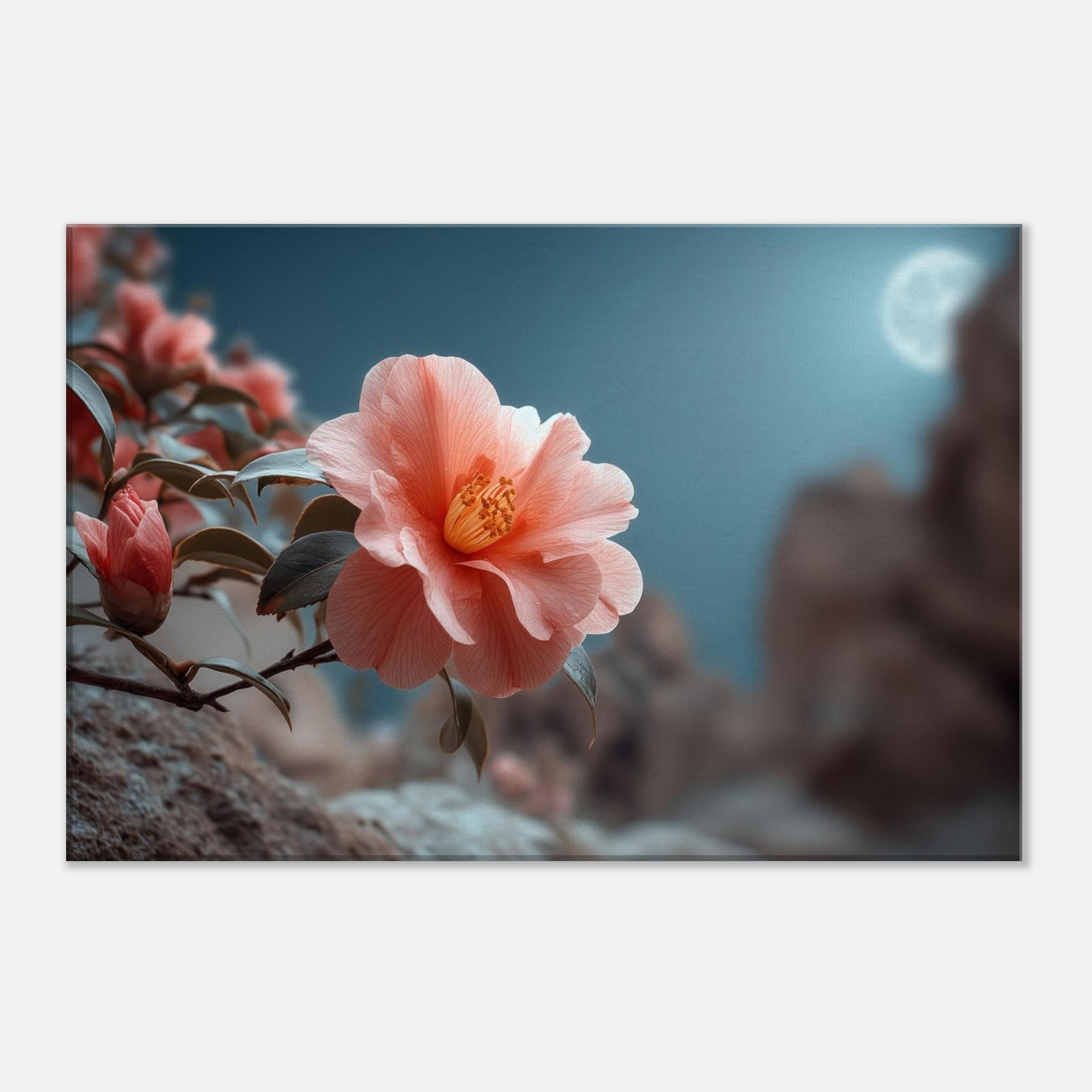 c6ad7043-e0ca-4e26-bcd1-5eca9751c826