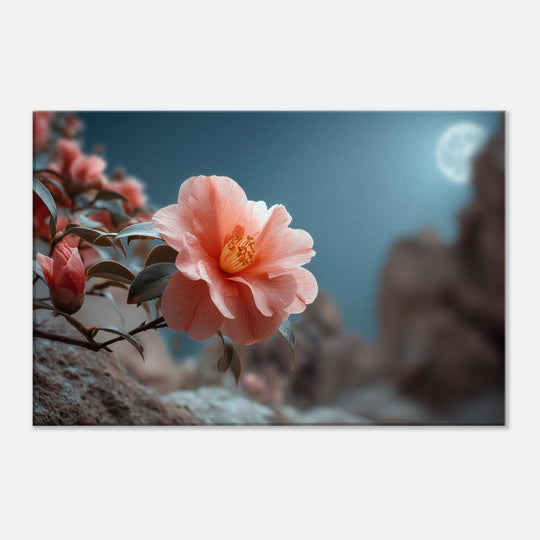 c6ad7043-e0ca-4e26-bcd1-5eca9751c826