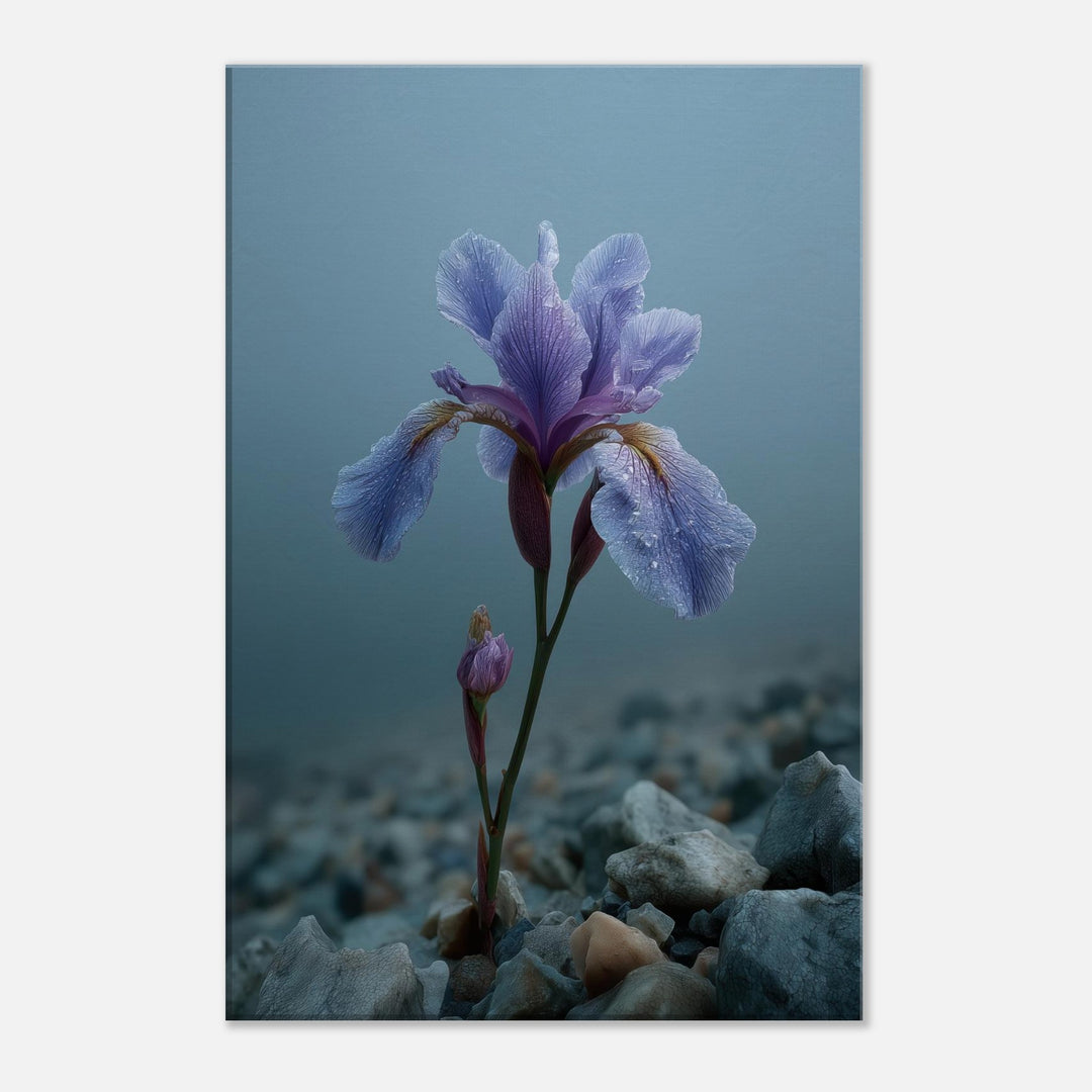 c73c1dba-9968-44a9-9a99-f6f317623a27