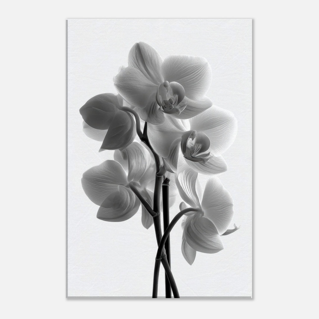 c7b3c6ee-be00-4a5b-a6b2-e2eae90b3dc5