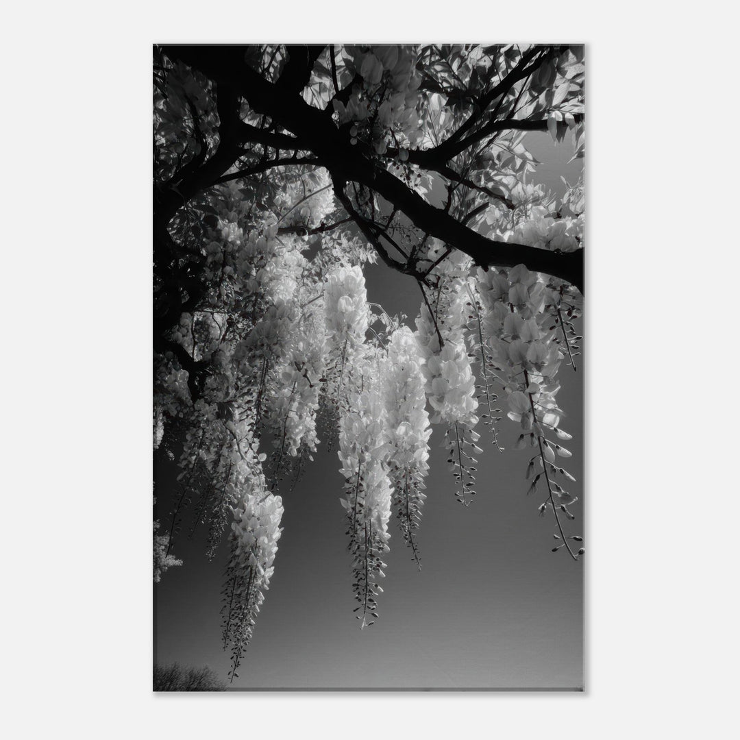 c84d2347-e223-4bf5-a38d-49ace0637226