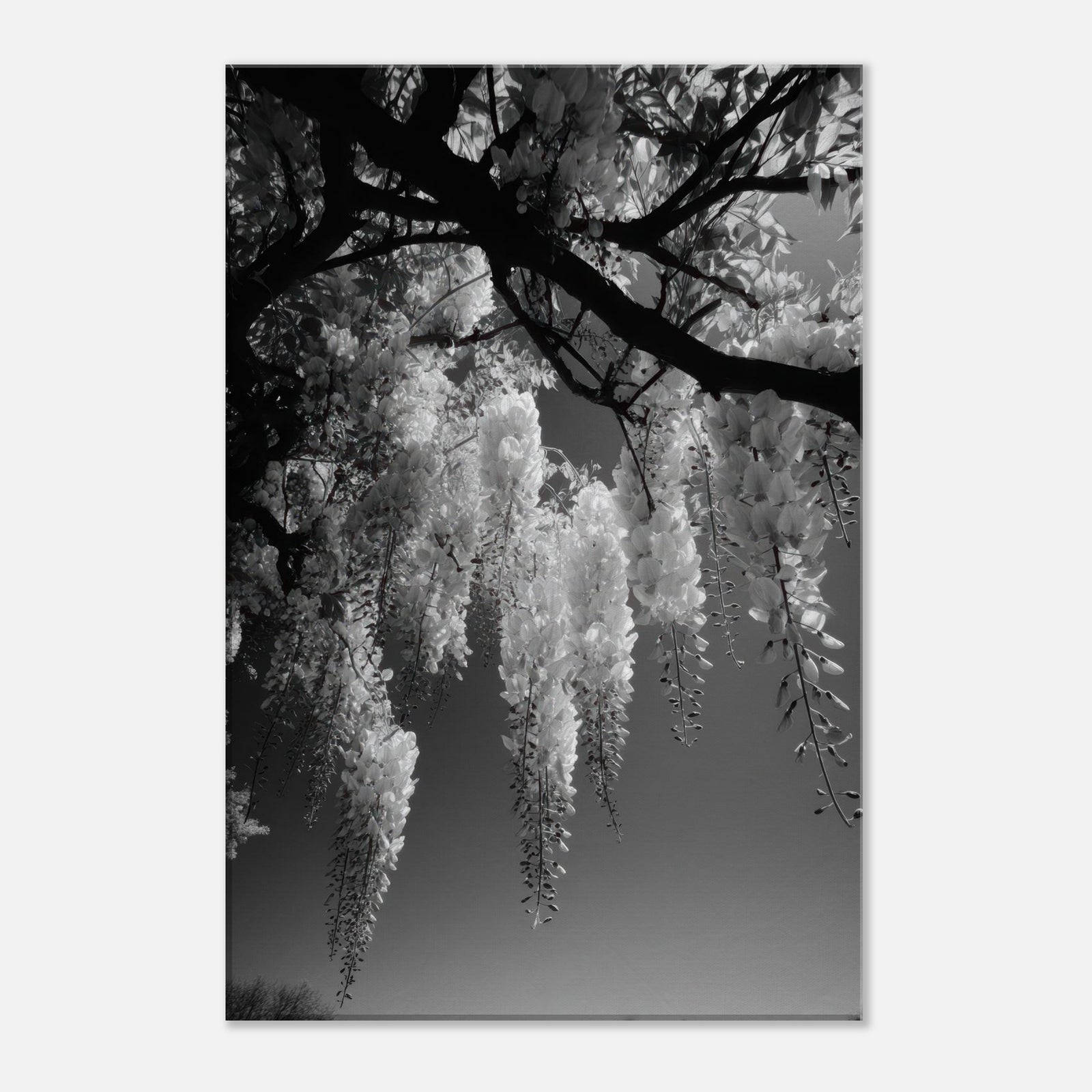 c84d2347-e223-4bf5-a38d-49ace0637226