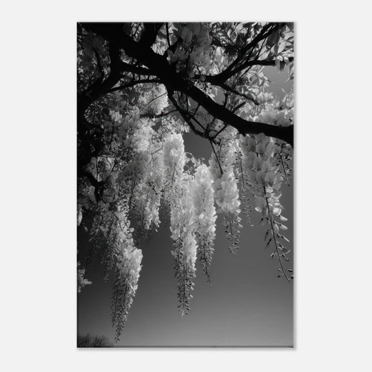 c84d2347-e223-4bf5-a38d-49ace0637226