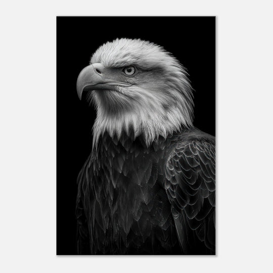 c8ae5b3c-90fd-42a0-8d53-d0ca1e005d02