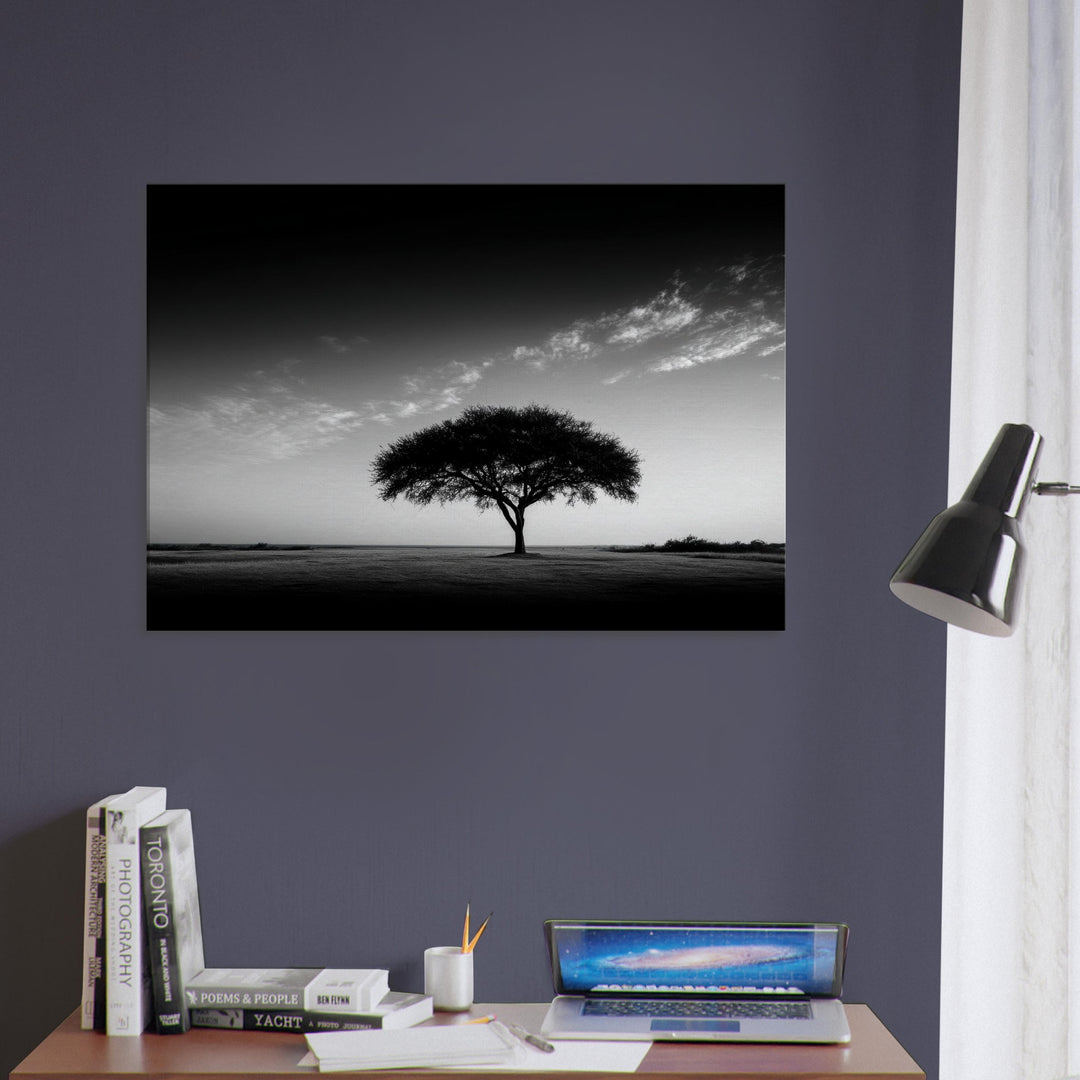 c905eae8-facc-48e1-9d82-299a3dd5649a