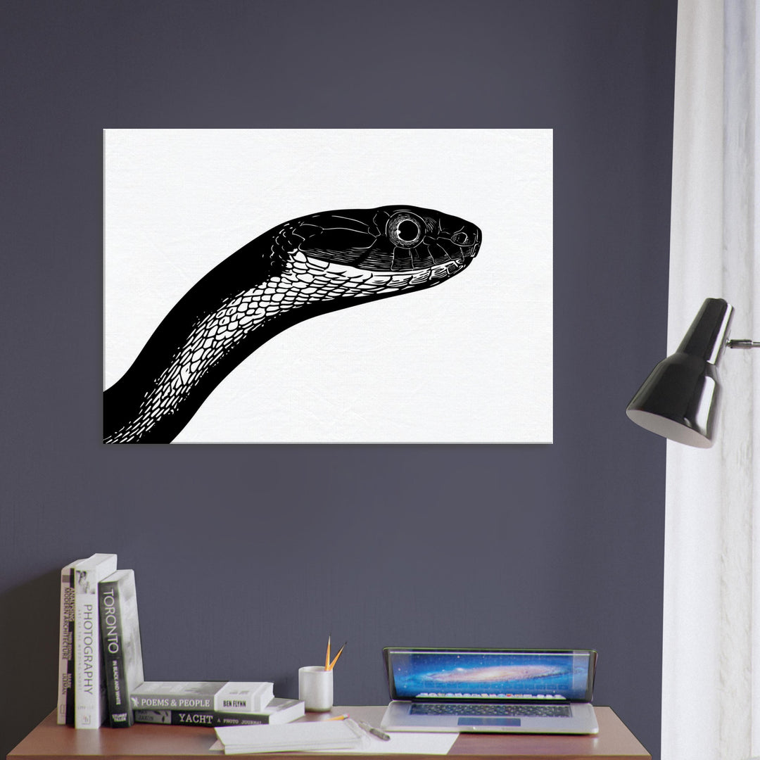 c938e001-6fdd-45ad-9187-8a3d5edcf0d5