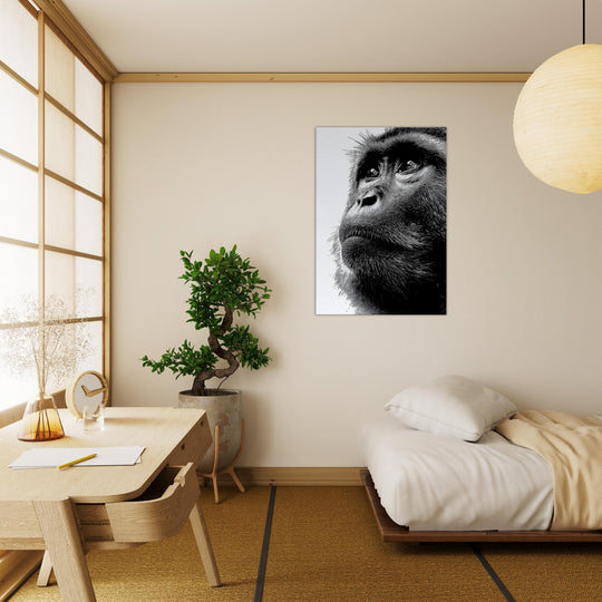 c98ae7b6-8209-4972-90e0-6e8e8d7c5a83