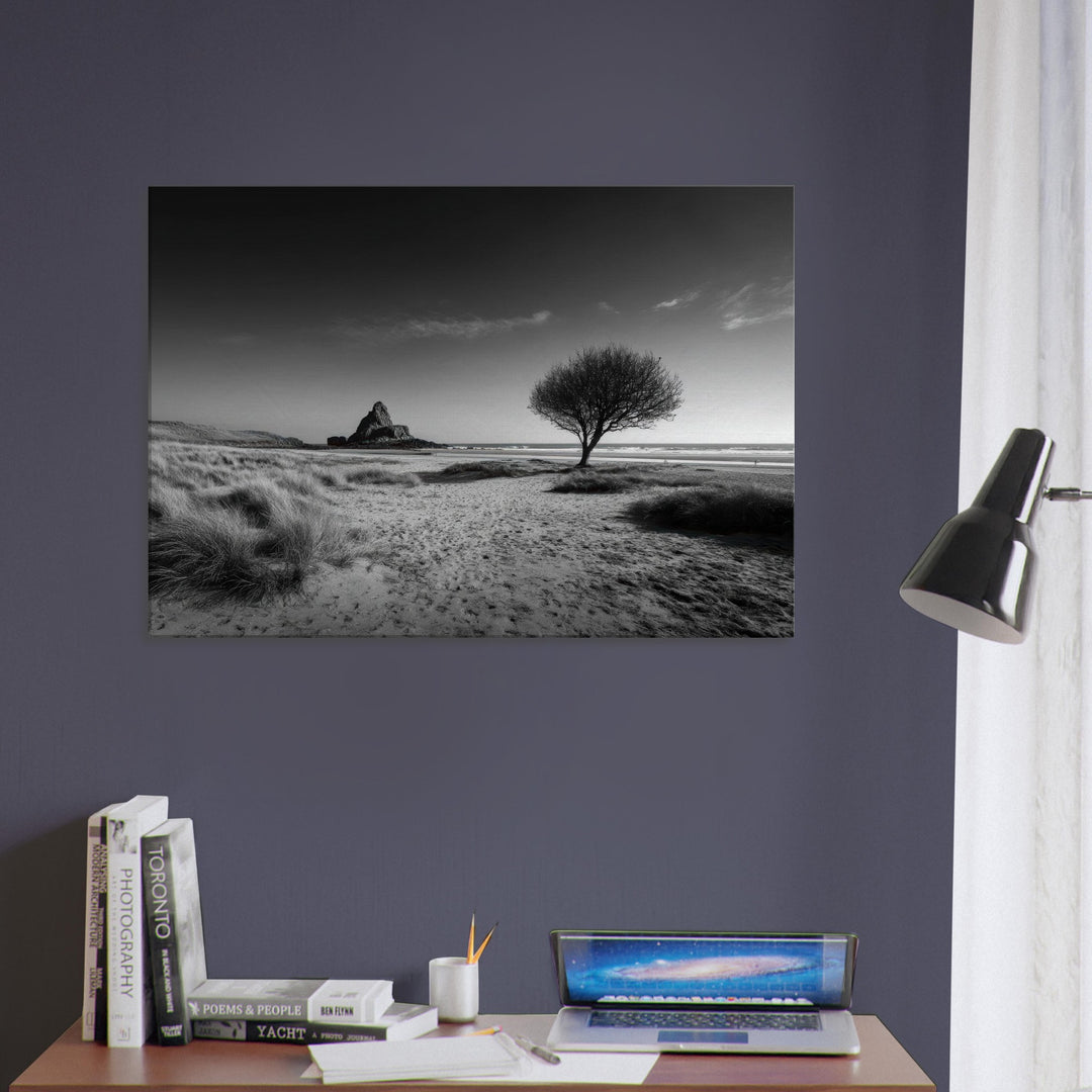 c9a6c12c-3ed7-4992-bb23-59437f4cab49