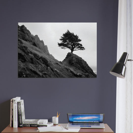 c9b80651-1c58-4bb4-a2b5-d6b70ae7b3cd