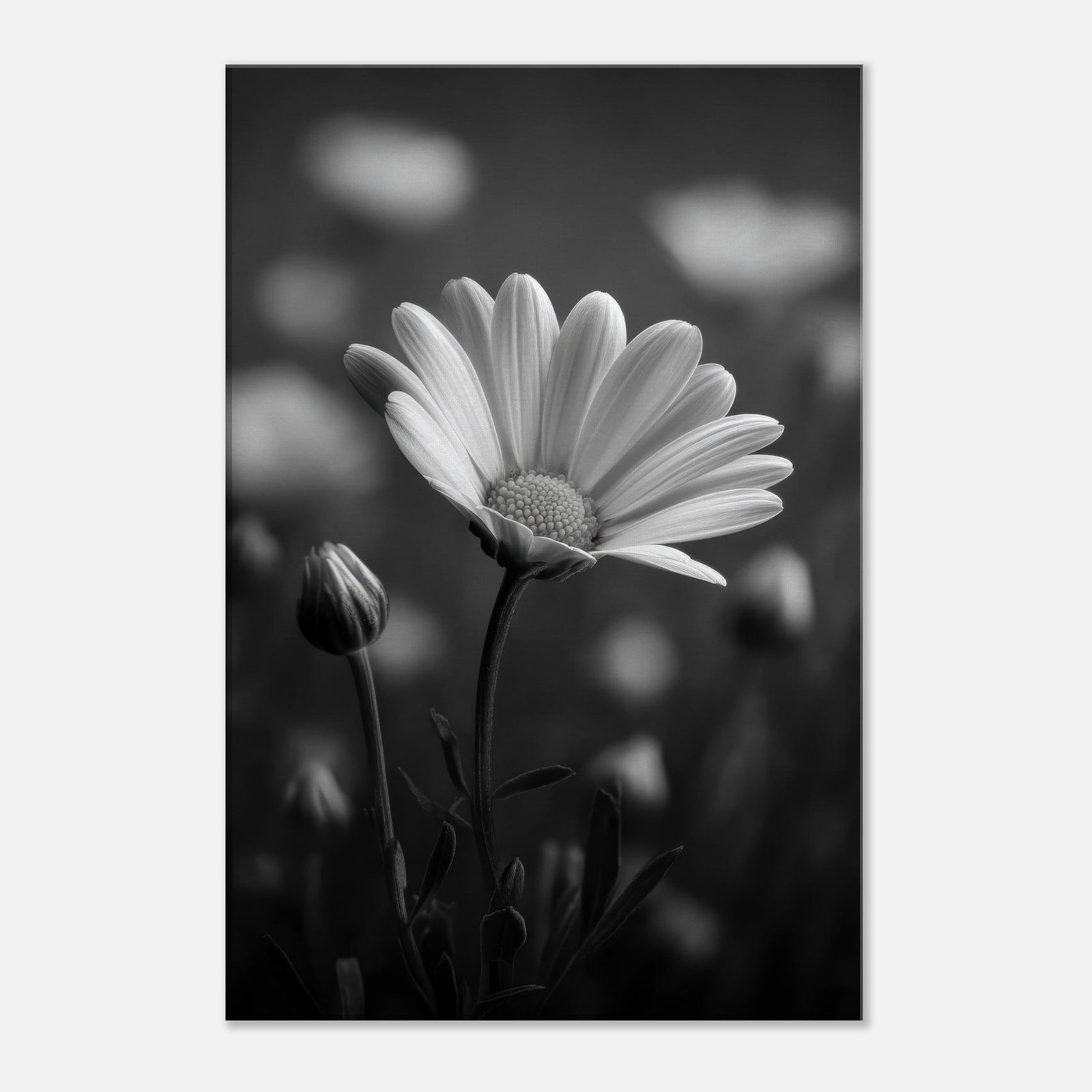 ca67d0fd-31a2-4c8b-9fb6-a1ec8b2315b1