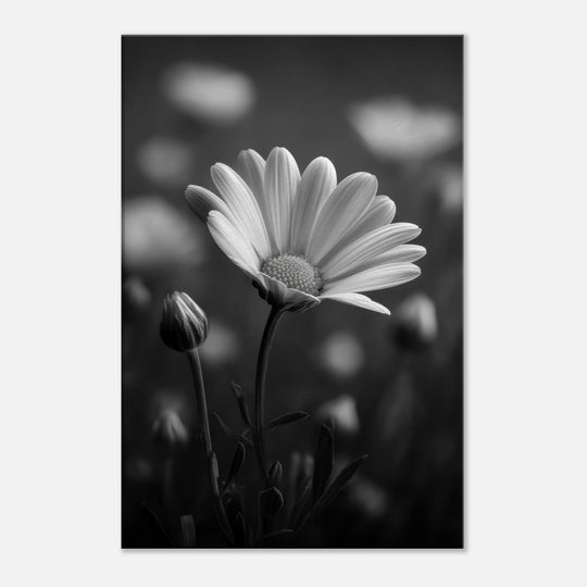 ca67d0fd-31a2-4c8b-9fb6-a1ec8b2315b1