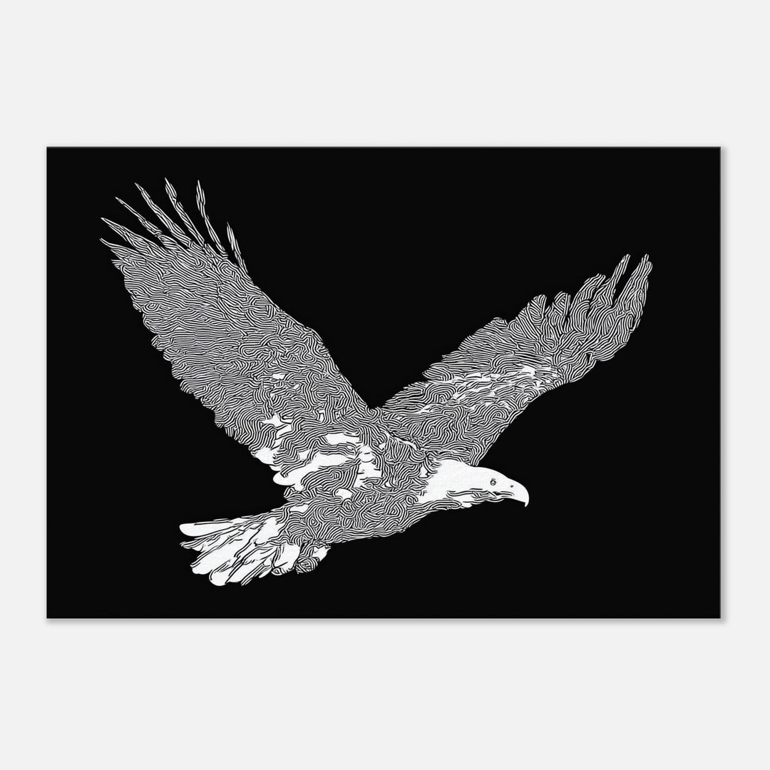 ca853c79-08f6-442b-a8c7-7d5b44273464