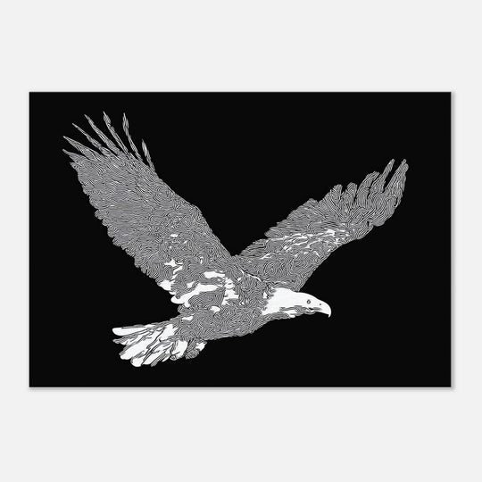 ca853c79-08f6-442b-a8c7-7d5b44273464