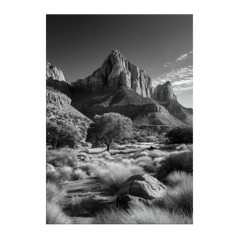 Monochrome Accent