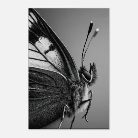 cb752282-d7c9-468b-aad9-c5da42272593