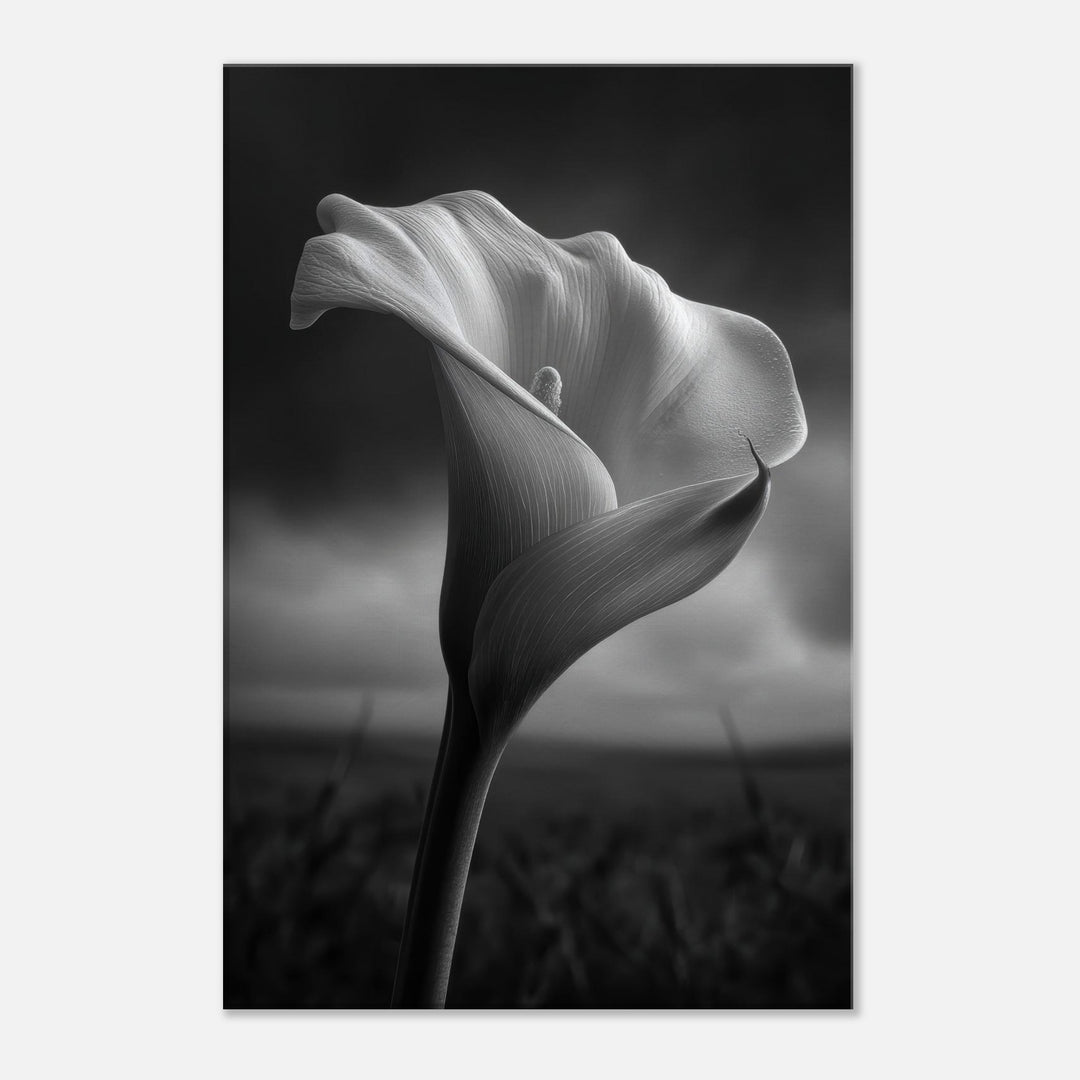 cb7c35b6-7b06-40bd-904e-41b1a94aead5