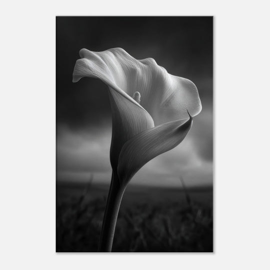 cb7c35b6-7b06-40bd-904e-41b1a94aead5