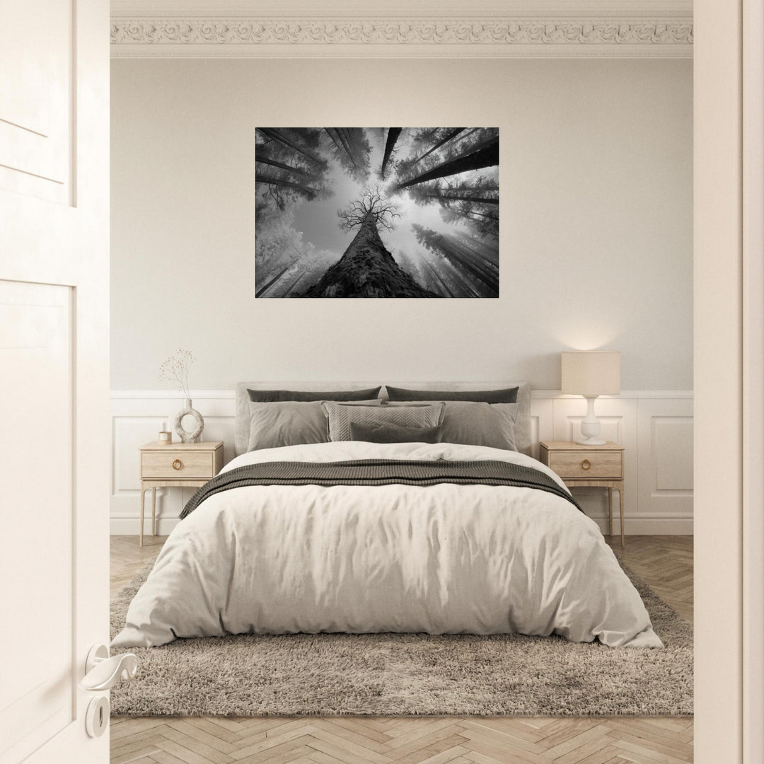 cbb5628a-f668-442a-b8f1-f168bd2edb36