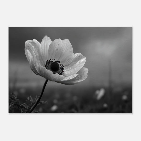 cbcc8b77-2b7b-4115-9688-caa4b7eed509