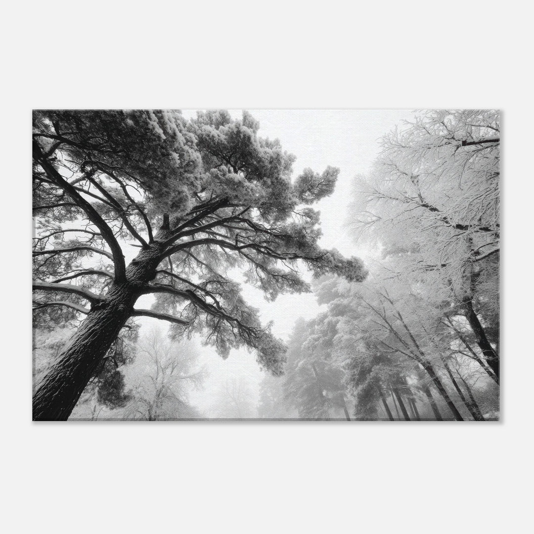 cbfe4354-2067-46c0-a5a2-7fc60ea4cc35