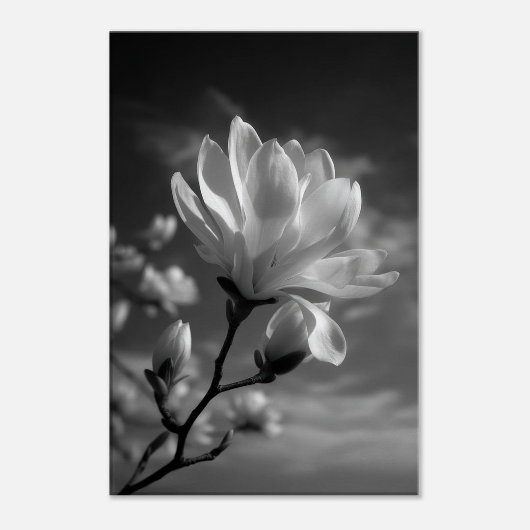 cc1613c1-901e-4f03-9057-2cd9d88f192e