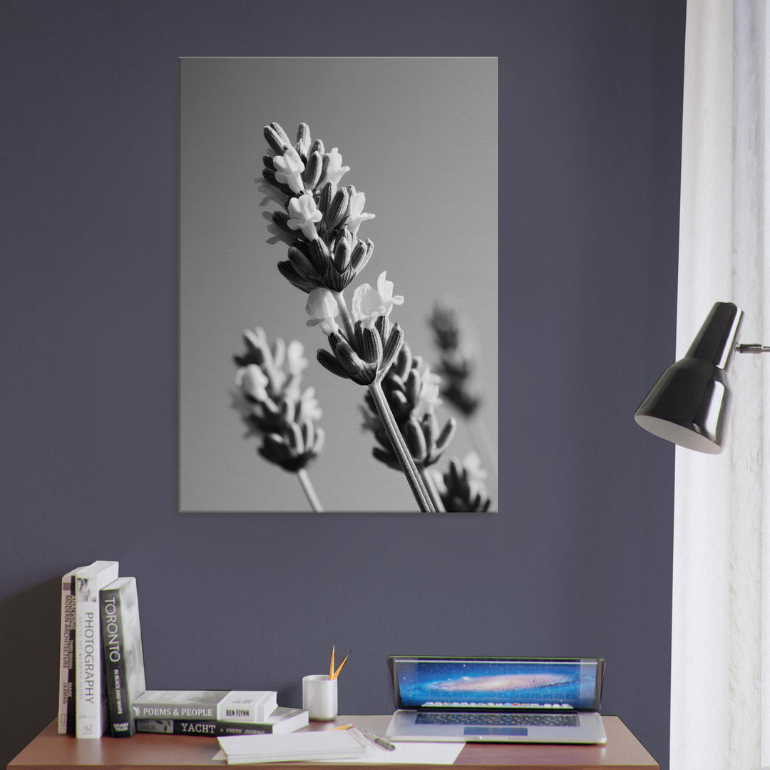 cc2fcecb-b677-45b4-8499-af3026715474