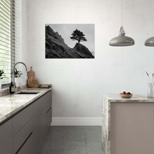 cc5276e4-9293-4cc8-b311-706bbd2e592c