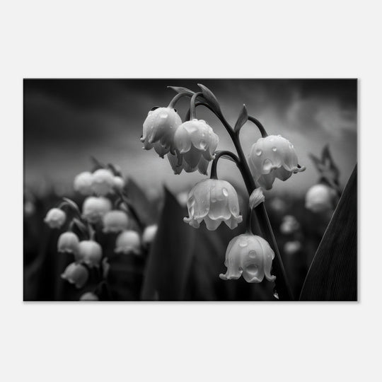 ccaeffab-c2ef-4d4d-aca2-30113b95c896