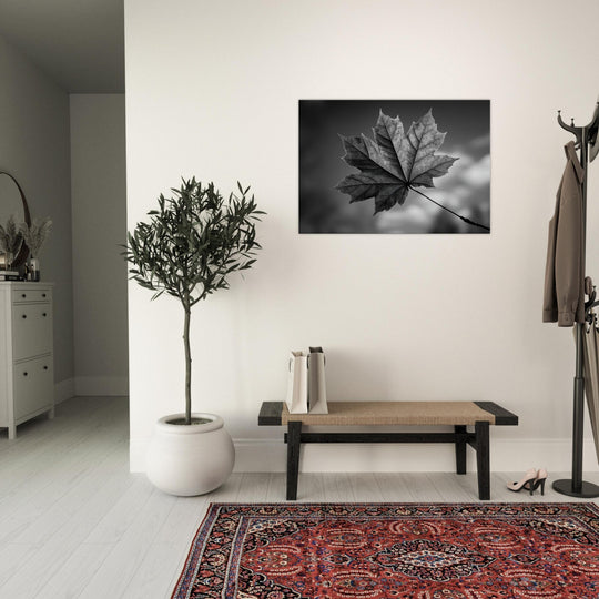 ccf69e07-6d12-44ff-a987-70090c837b1a