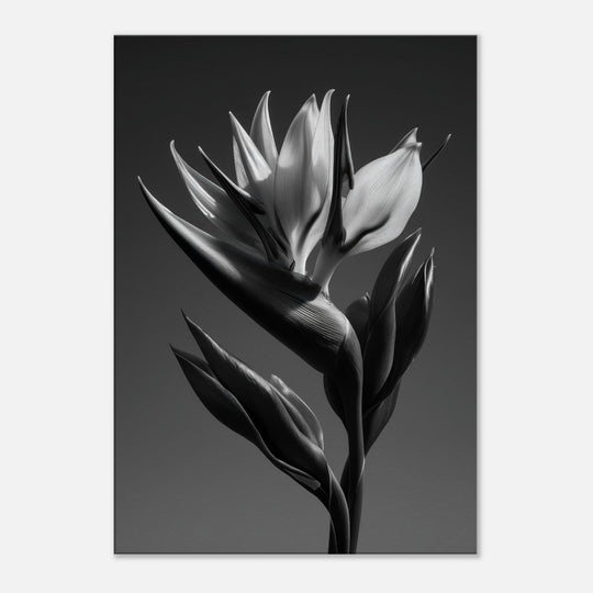 ce7c9789-a55e-46a4-89db-ad25c0b502c0