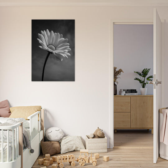 cebc070e-2779-4d2b-b9ca-a885acdbacc9