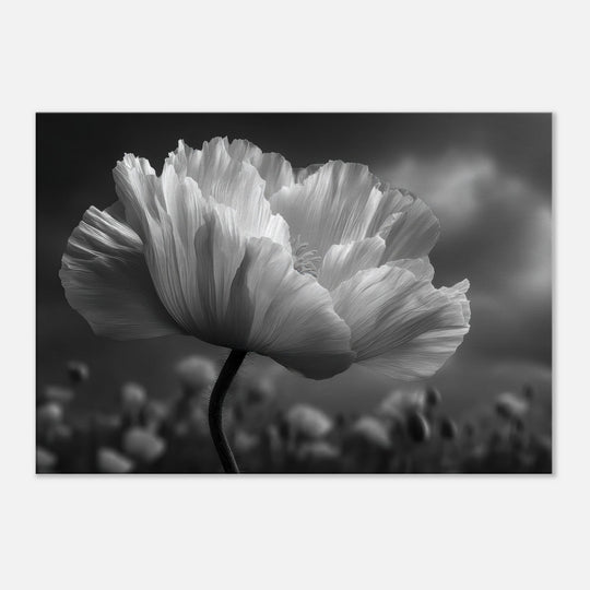 cf1f6a8f-661b-4283-9c10-57fc748c9773