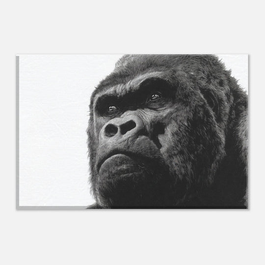 cf78aa12-eaaa-4de3-9cc0-1857db484ef5