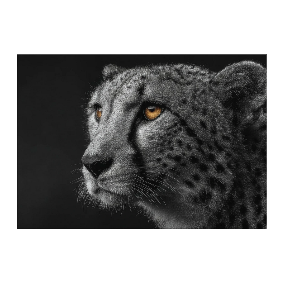 8ec13f09-e910-4417-af39-d1cbeaebb836