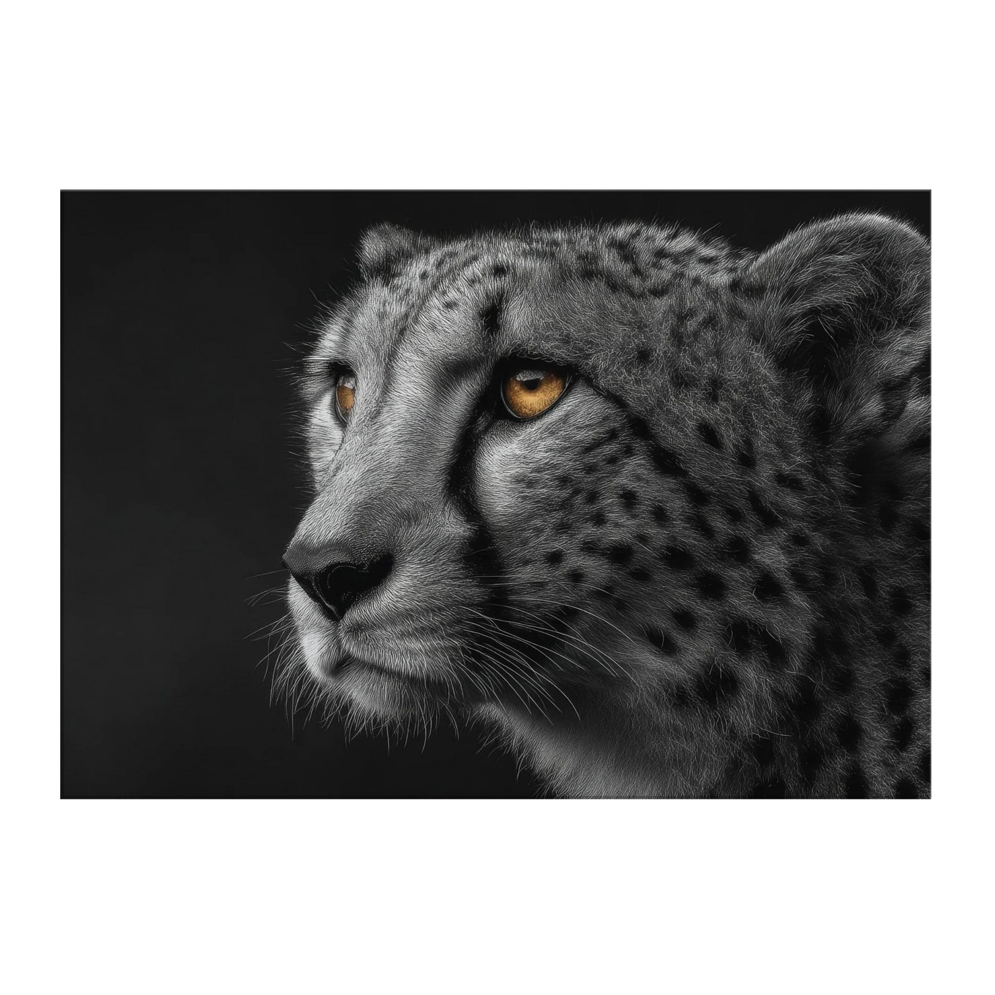 8ec13f09-e910-4417-af39-d1cbeaebb836