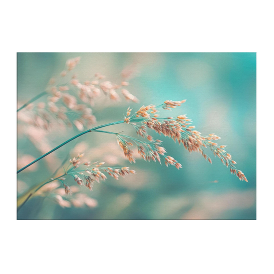 840bcd99-d6b0-4819-9b18-f5435071007c