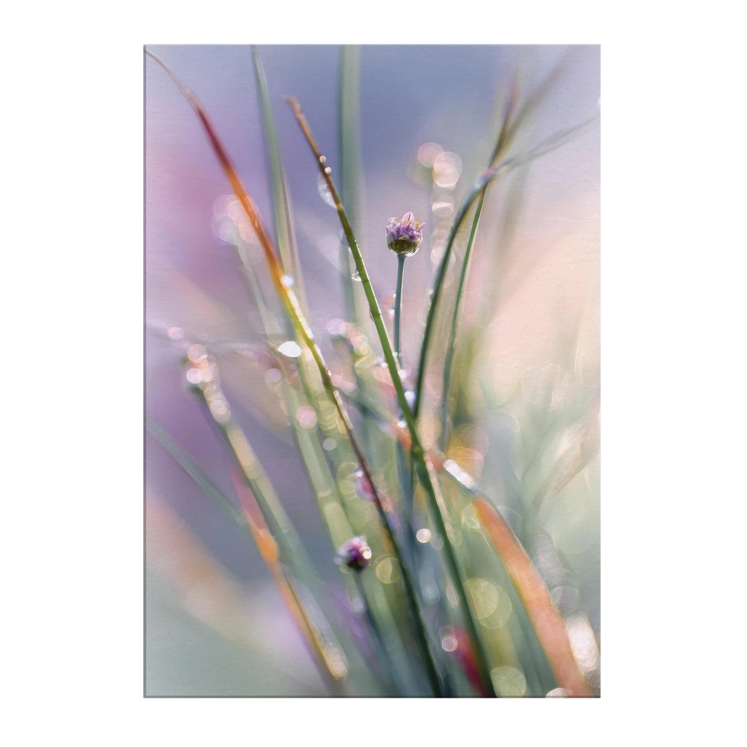75f042ea-5c4c-4a02-a738-feaea6df6a29