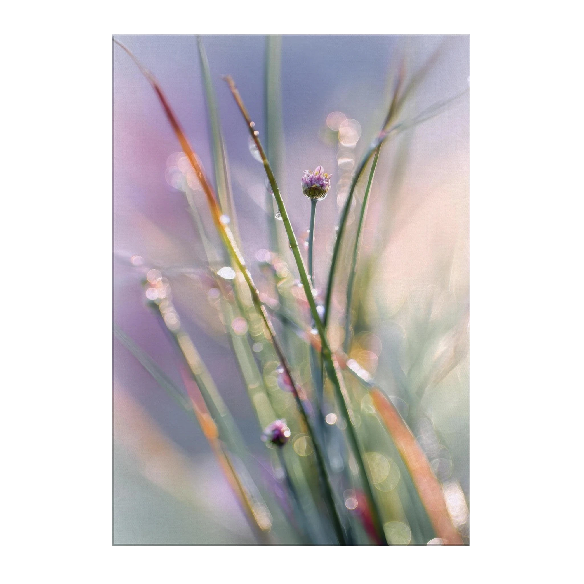 75f042ea-5c4c-4a02-a738-feaea6df6a29