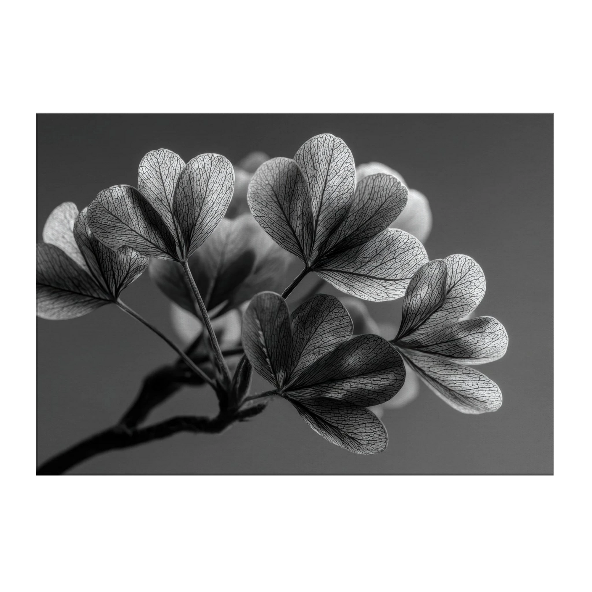 547d8b31-cf84-4b50-a4f2-538aaf6b5421