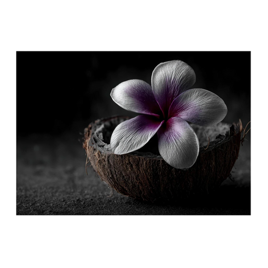 3101f75f-bdbb-45b1-a2df-3277a090015c