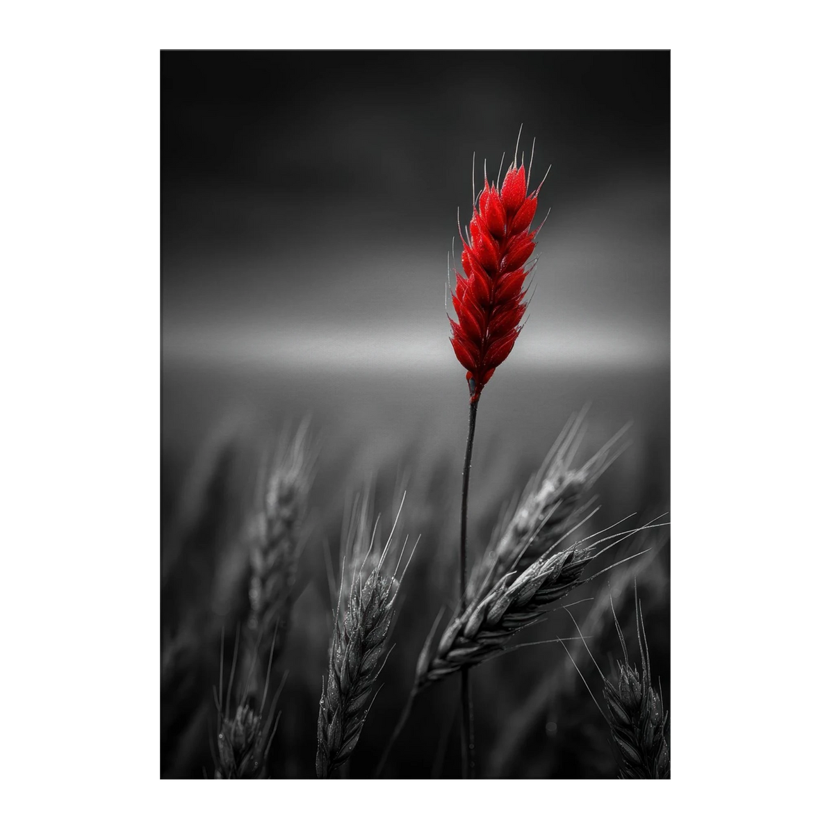 2be6c080-7149-4e68-9d6d-5cc1850193d0