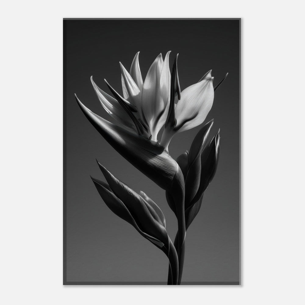 d0bf9987-c792-4144-b9be-773ebf15203d