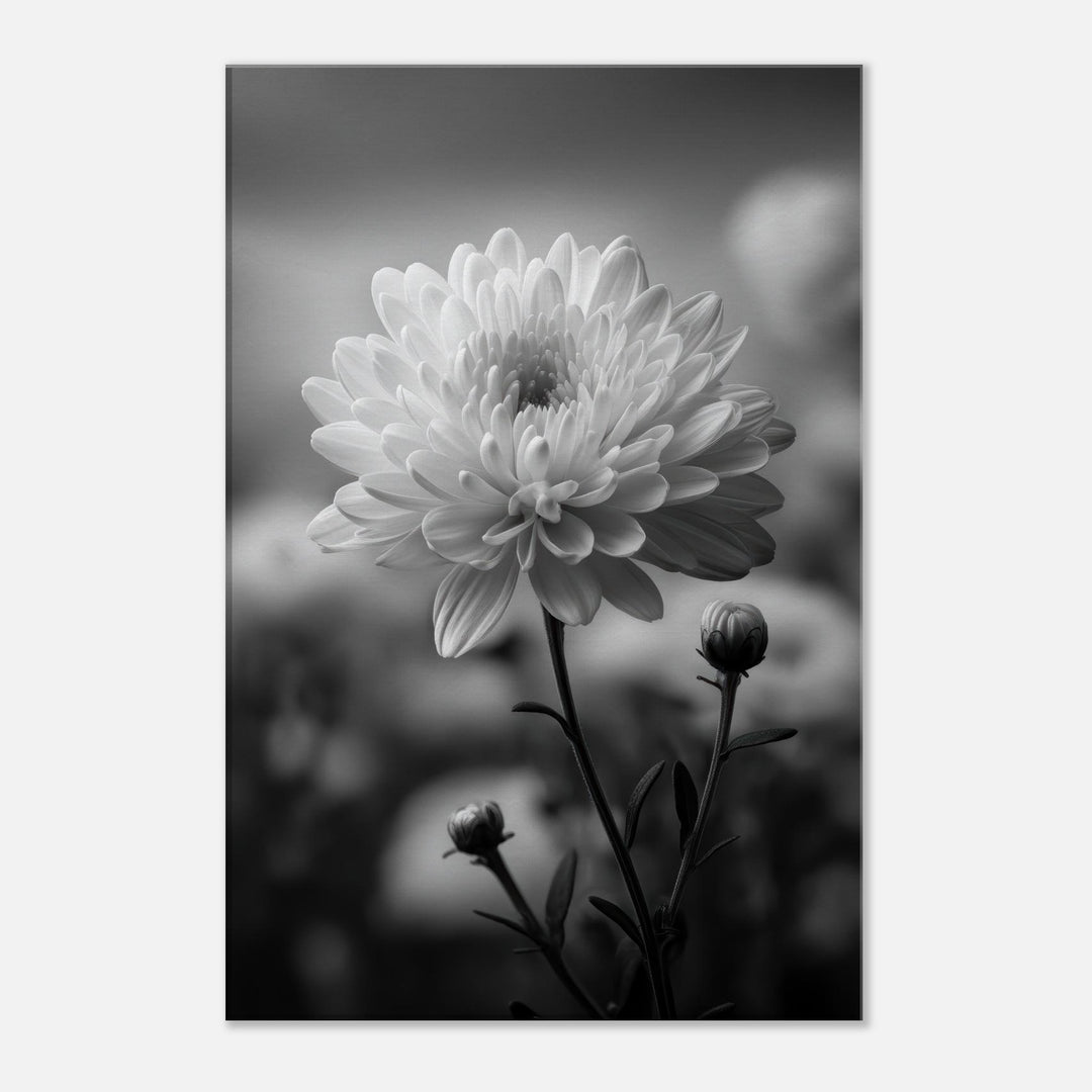 d101c4c6-d70d-4823-8f31-9b463c45da3c