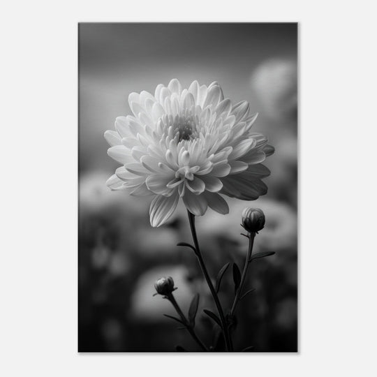 d101c4c6-d70d-4823-8f31-9b463c45da3c