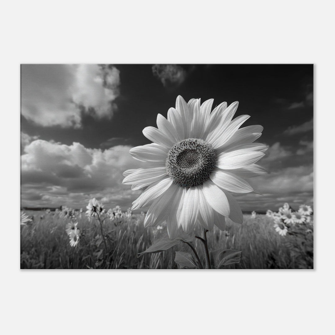 d1868f29-91a9-4c7d-b7e2-25bdccaeaf1e