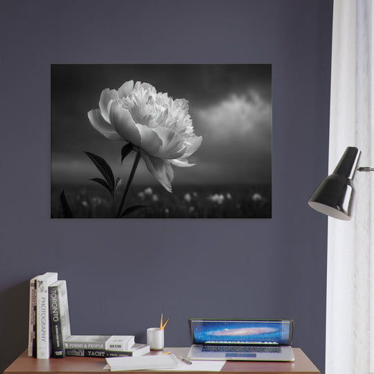 d1934869-8619-48e0-b28b-c0f8928c9e40