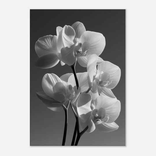 d19b72f8-4a02-46ef-b708-a43c4076a553