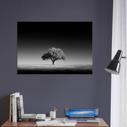 d2688248-75db-4da1-b3d1-d2d5bd3abe1c