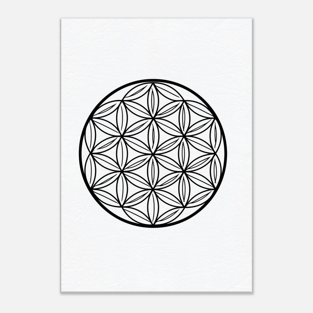 d2886339-c48f-4a51-8243-c796729fd447